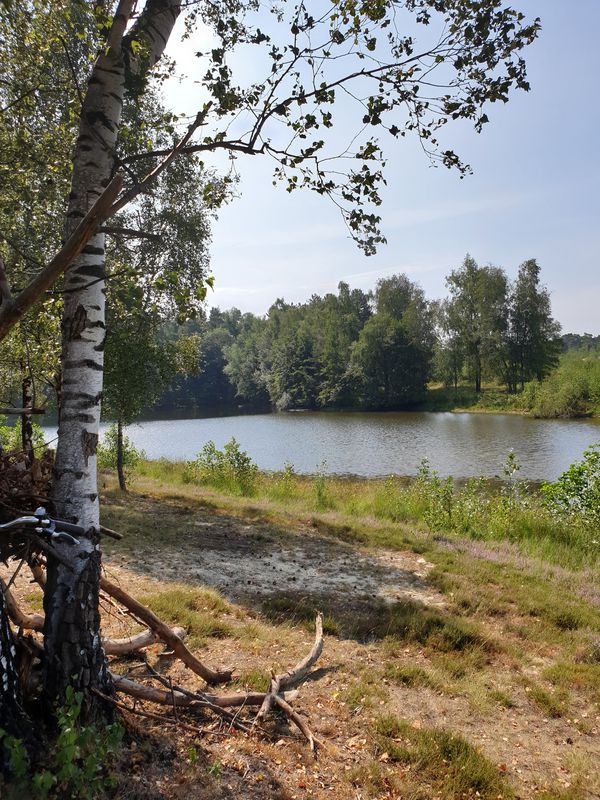 Hof 16, Dongen