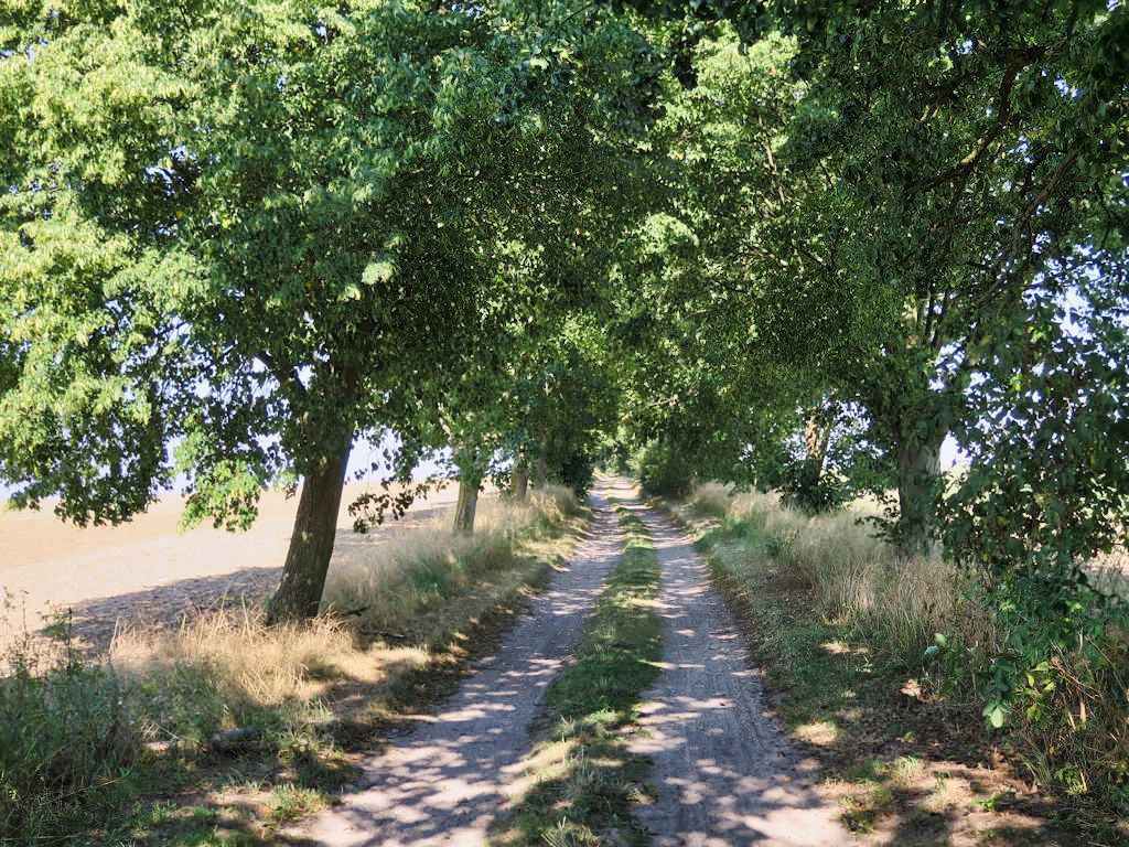 Schwerin-Rundtour: Gadebusch