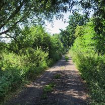 Photo 7 of the Bikemap route "Schwerin-Rundtour: Gadebusch"