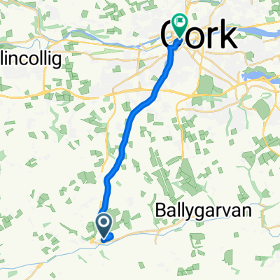 R613, Ballinhassig nach 21/22 Hanover Street, Cork