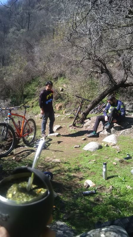 De G-556, Paine a G-556, Paine