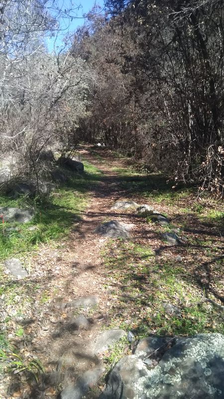 De G-556, Paine a G-556, Paine