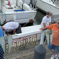 Zdjęcie 8 trasy Bikemap „2–32 E Dobbins Landing, Erie to 828 W Bayfront Pkwy, Erie”