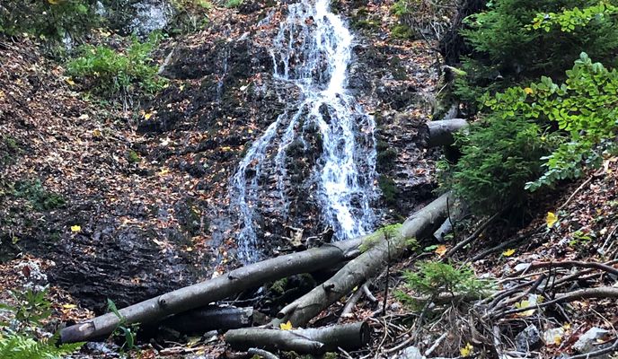 Foto 2 del percorso Bikemap "Cutkovska Dolina" Foto 2 del percorso Bikemap "Cutkovska Dolina"