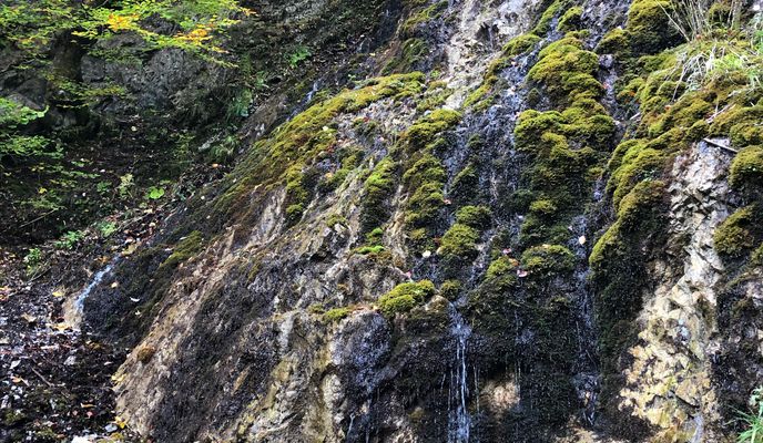 Foto 1 del percorso Bikemap "Cutkovska Dolina" Foto 1 del percorso Bikemap "Cutkovska Dolina"