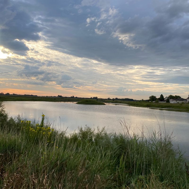 Penn Oak to Ivan Gatlin