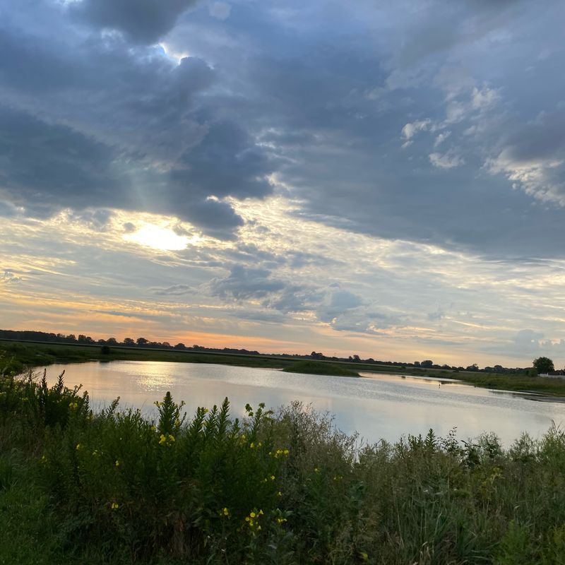 Penn Oak to Ivan Gatlin