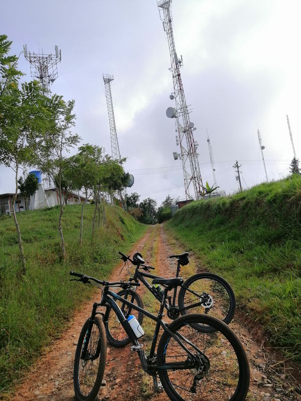 venado , las torres , Manzanillo