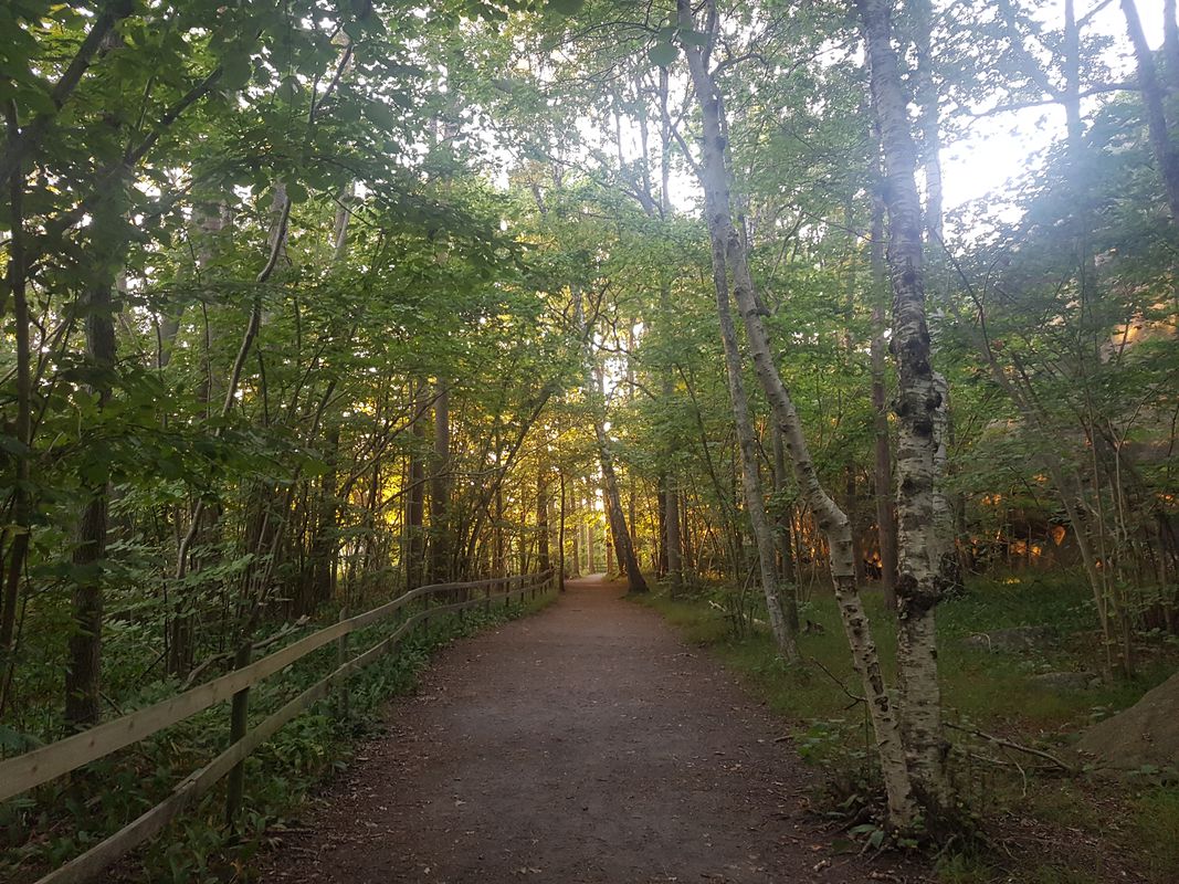 Tønsberg Tønne