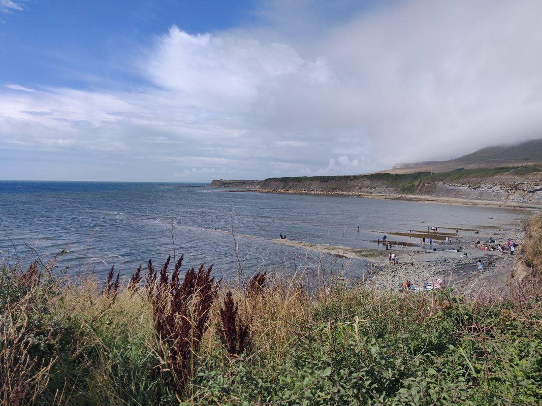Kimmeridge roure