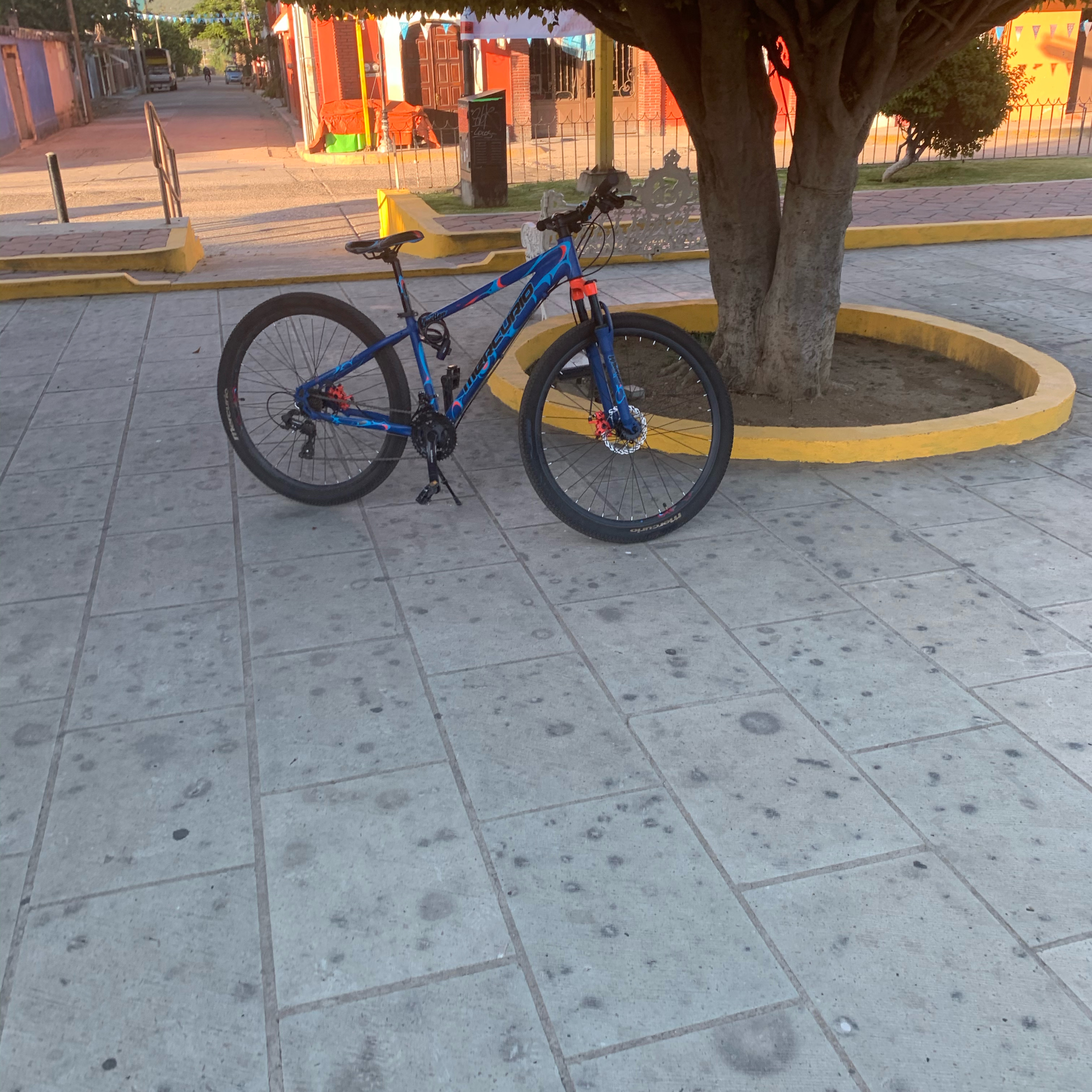 Oaxaca - Tule