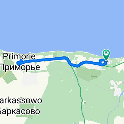 Easy ride in Светлогорск