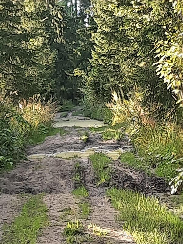 От Ремесленная улица 1А, Ногинск до 1-я Ильича улица 1А, Ногинск