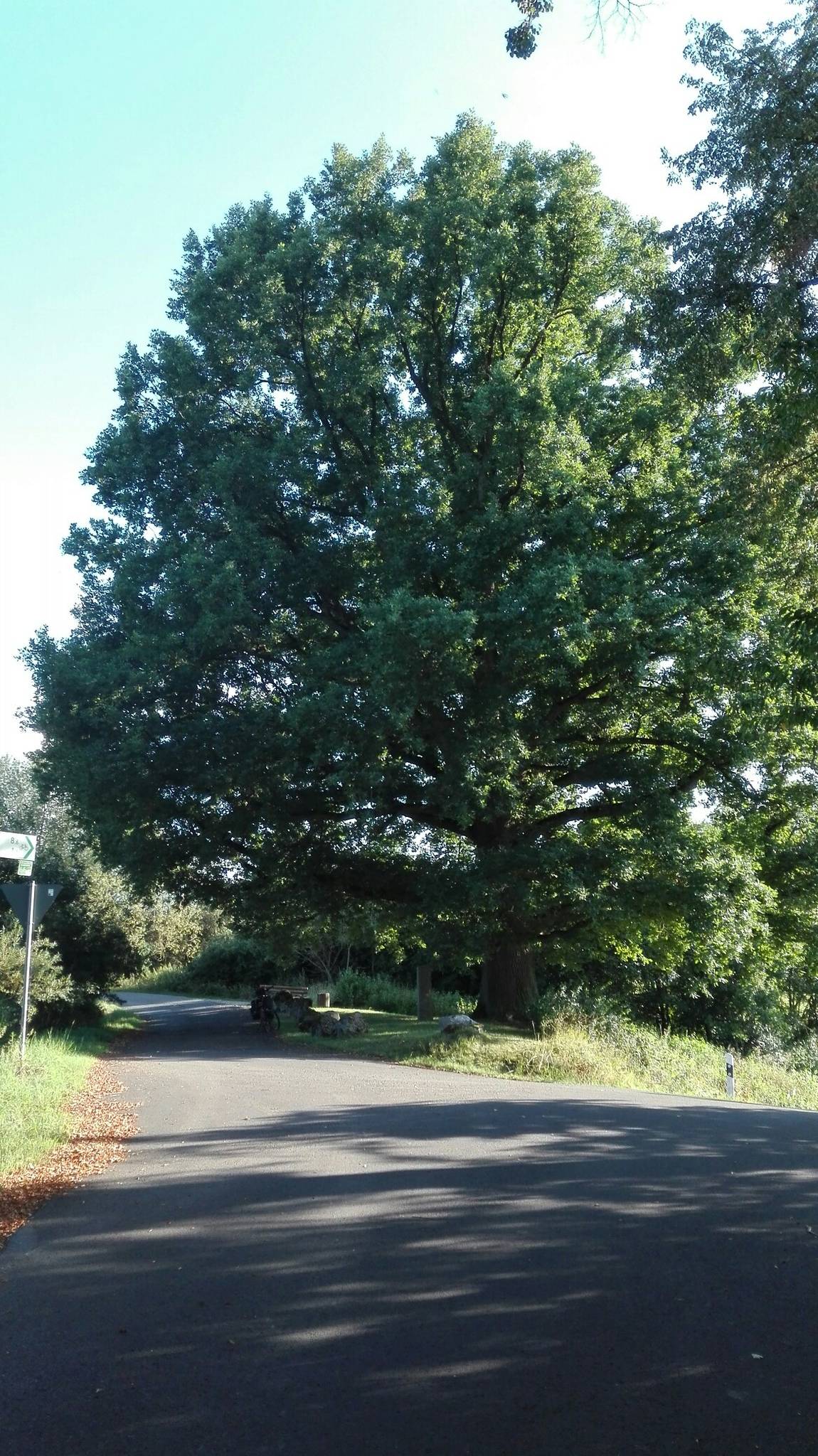 Feierabendrunde - Löschenrod - Johannesberg - Ziegel