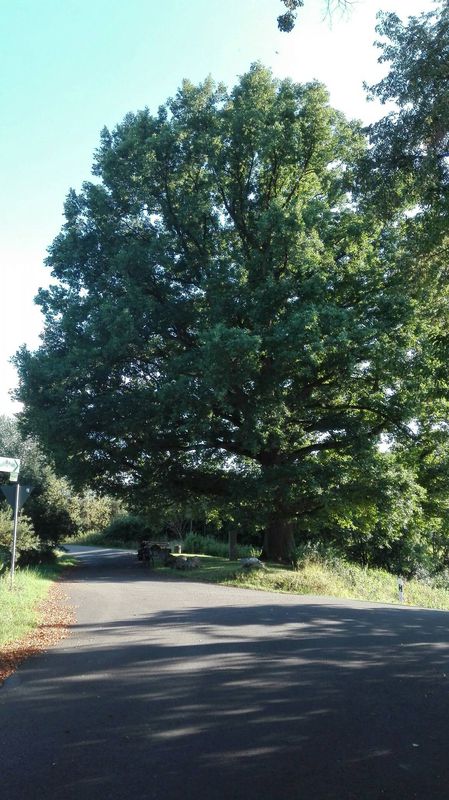 Feierabendrunde - Löschenrod - Johannesberg - Ziegel