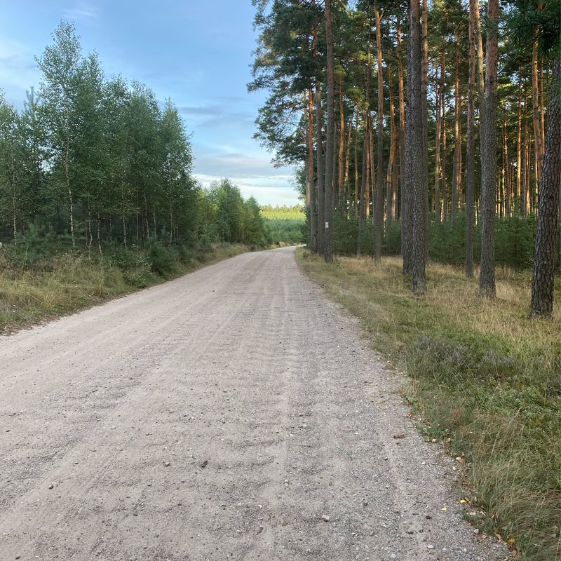 Trasa do Kociewska 14, Ocypel