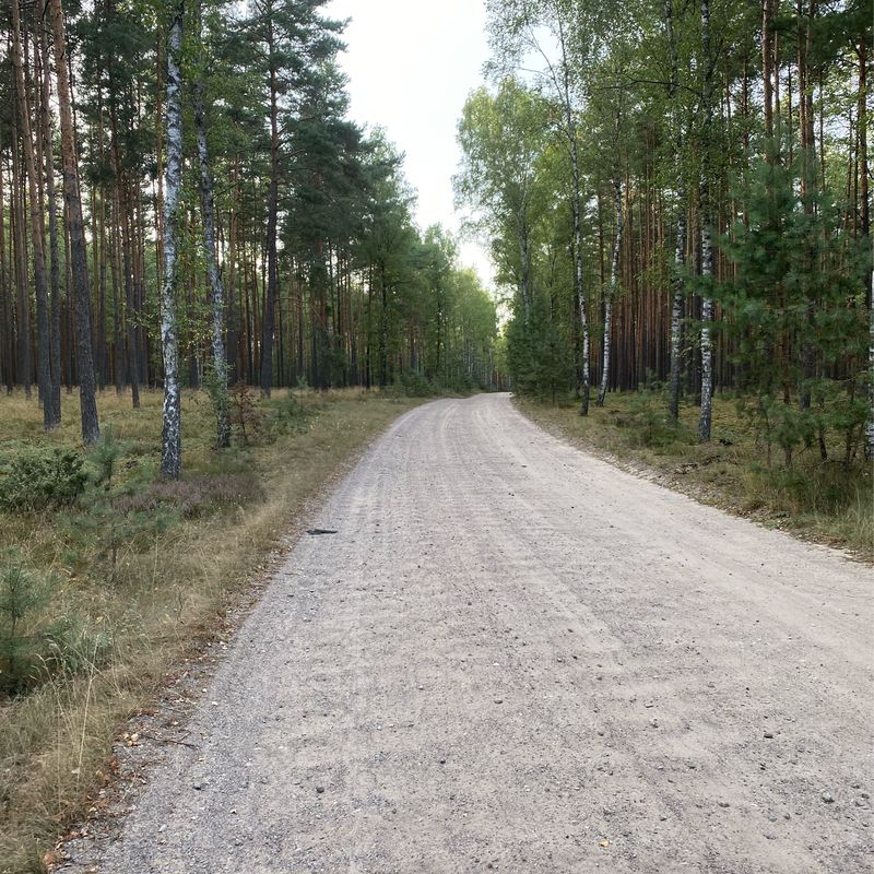 Trasa do Kociewska 14, Ocypel