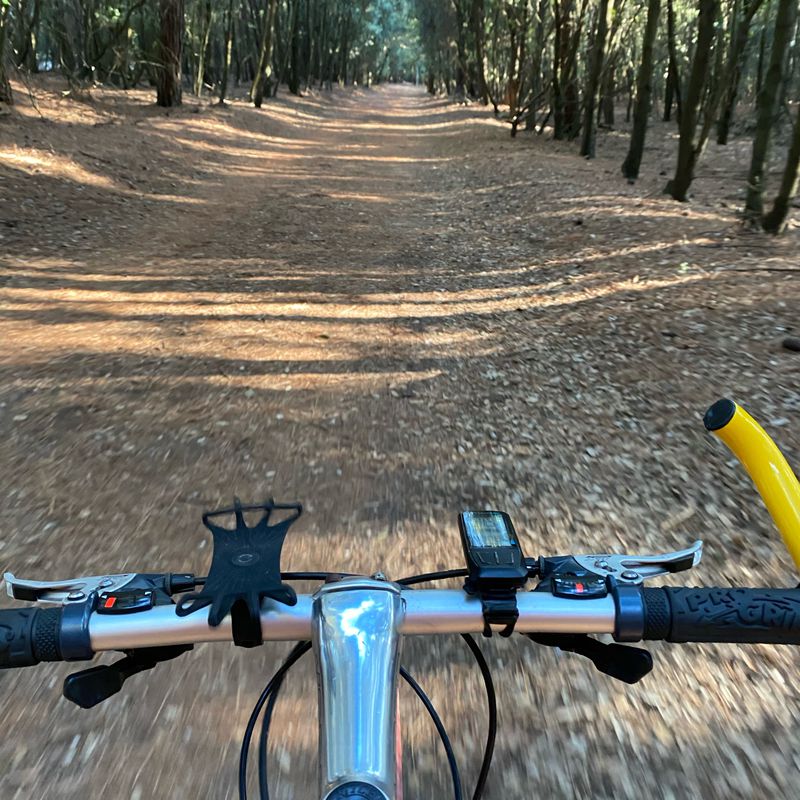 volano e ritorno con pineta e ciclo cross