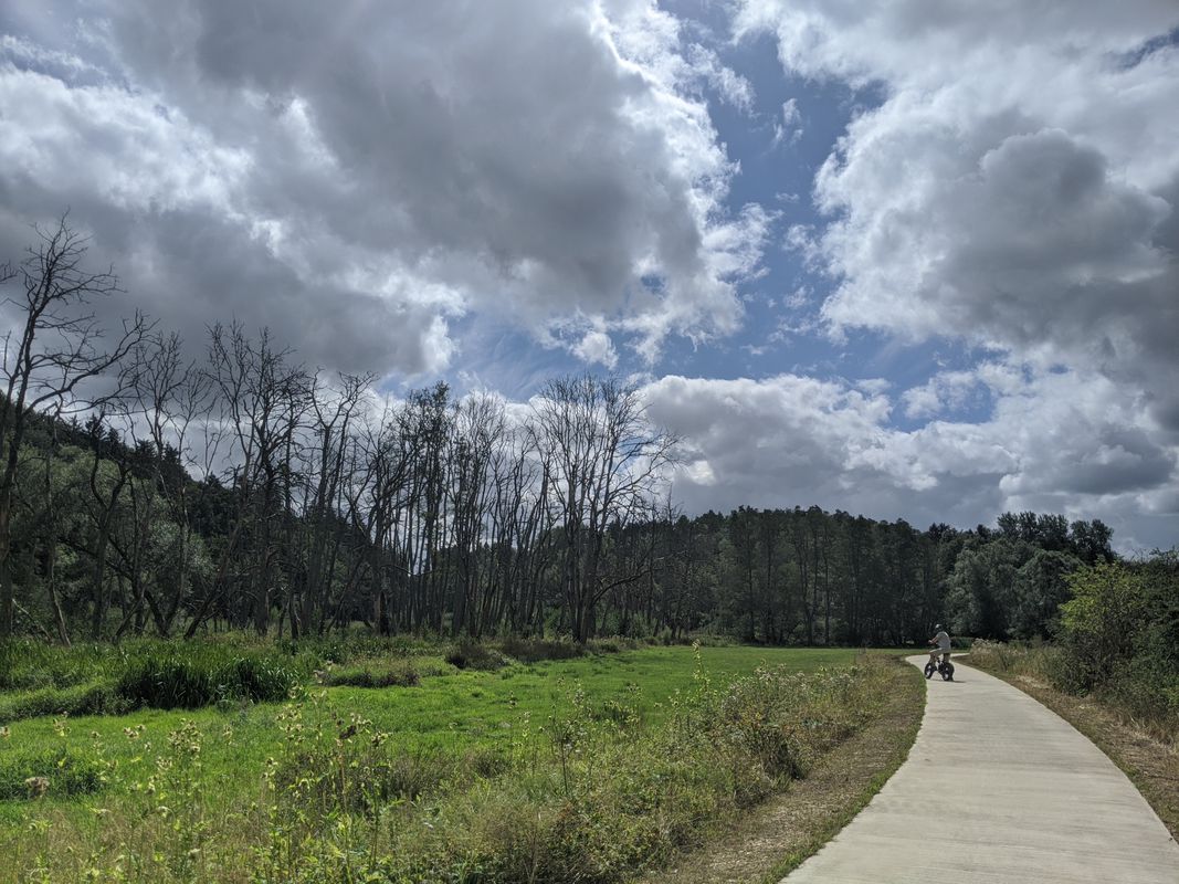 Mersch La Rochette Junglister