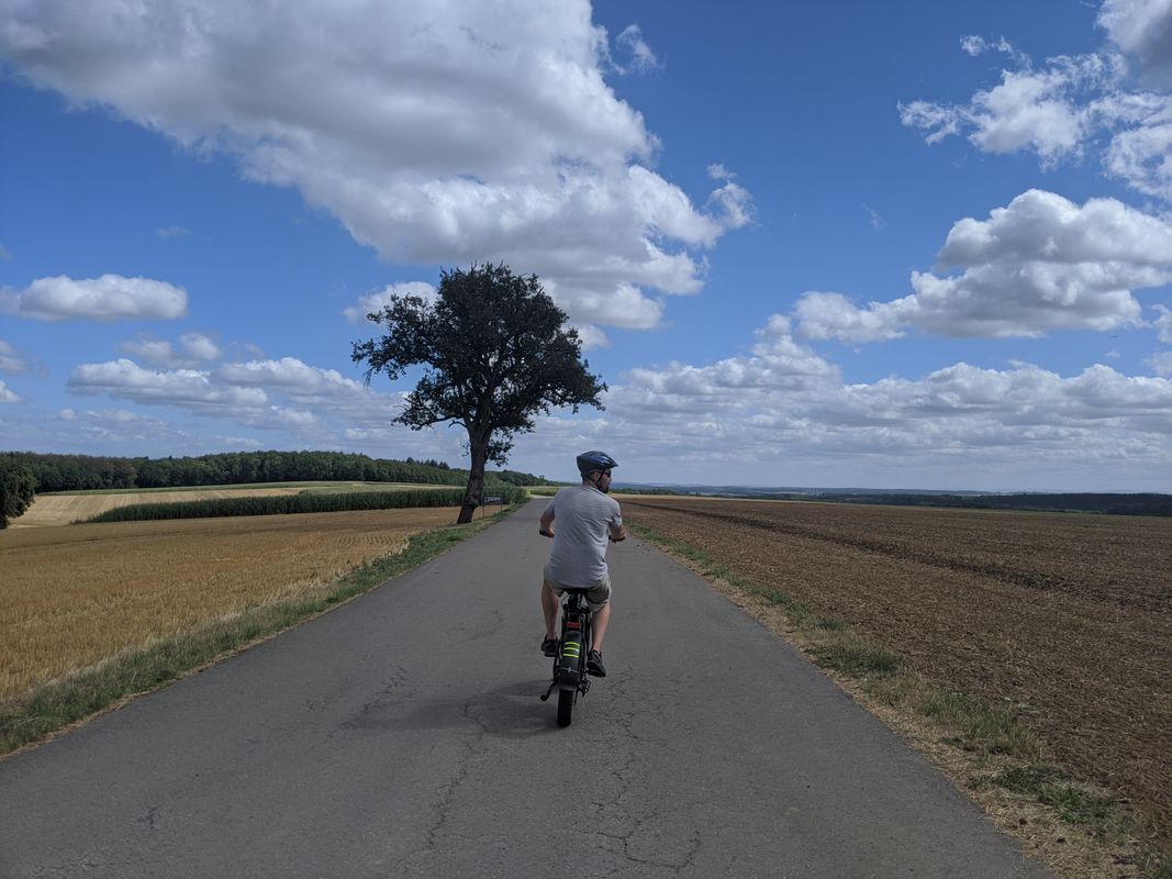 Mersch La Rochette Junglister