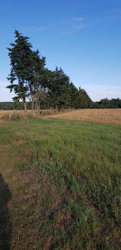 Plauer Chaussee 26C, Güstrow nach Plauer Chaussee 25B, Güstrow
