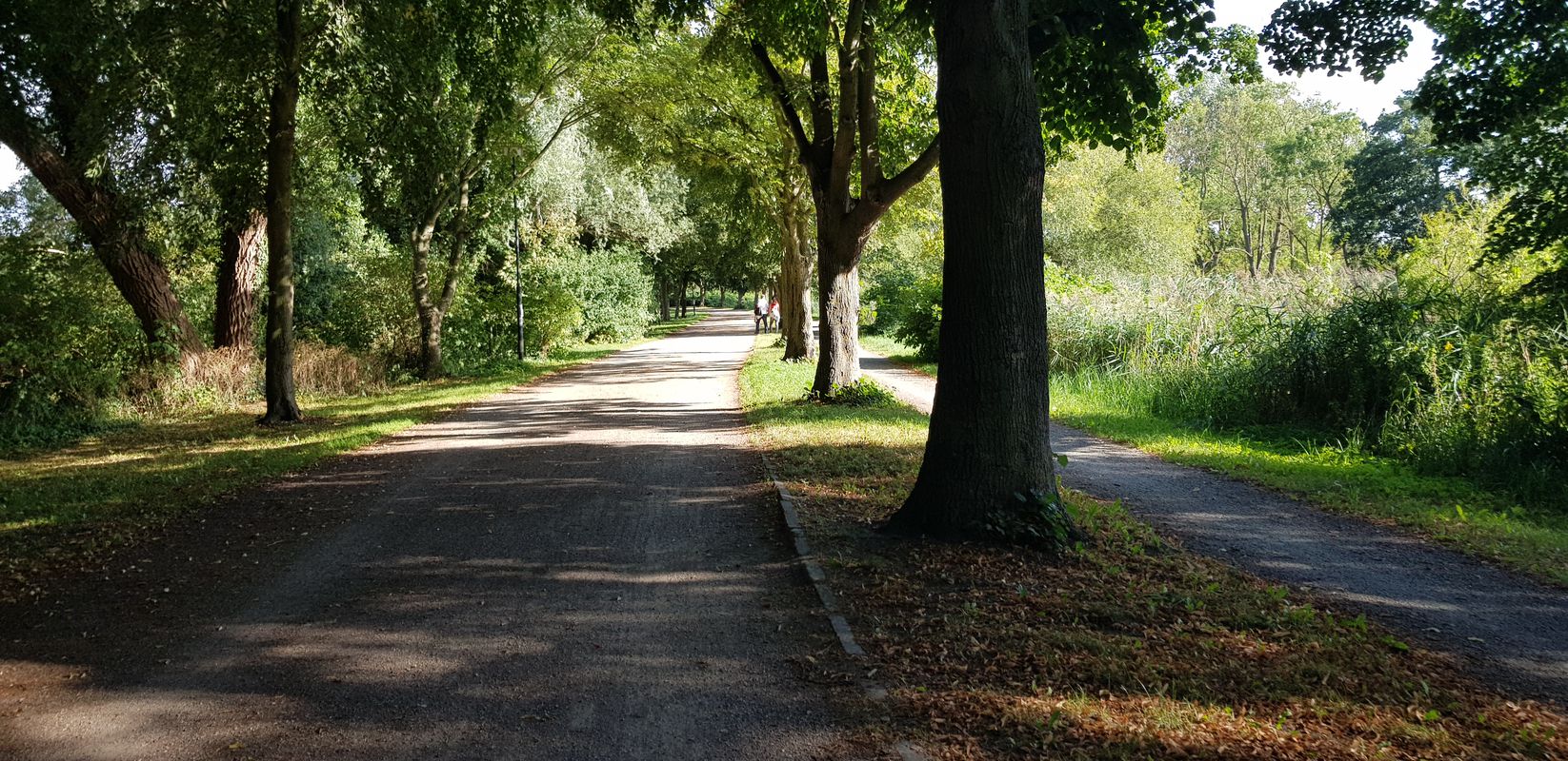 Plauer Chaussee 26C, Güstrow nach Plauer Chaussee 25B, Güstrow