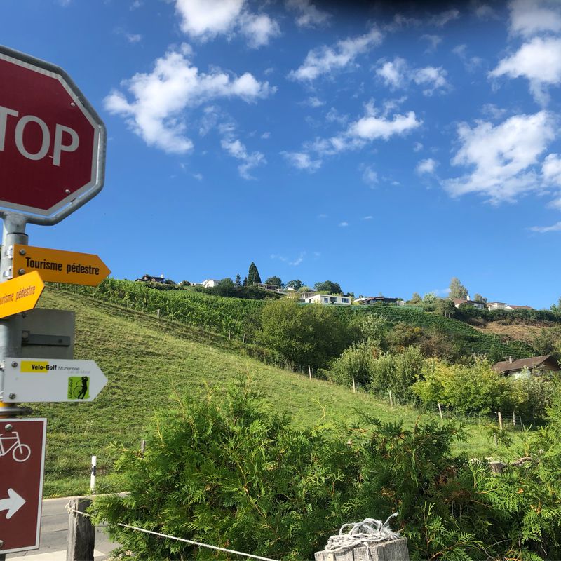 Chemin de la Mésange, Vully-les-Lacs-Route du Gros Buisson 12, Vully-les-Lacs