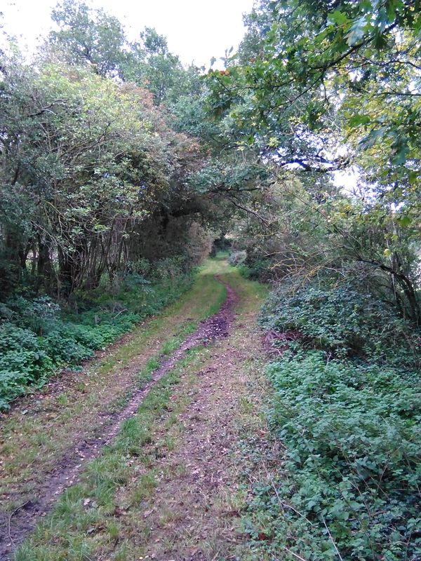 Thunder Ridge