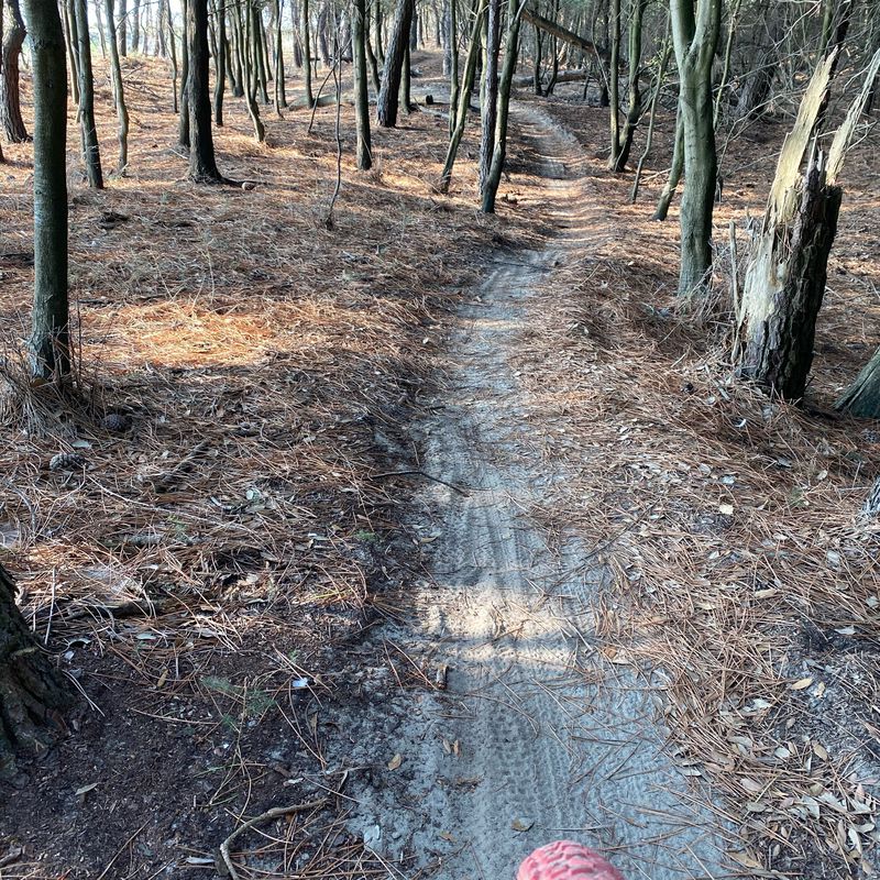 pista ciclocross pineta di Volano