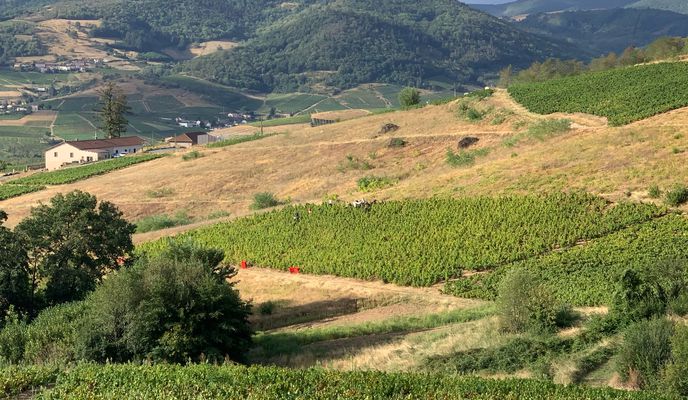 Foto 1 de la ruta de Bikemap "St Marie-Sabliere"