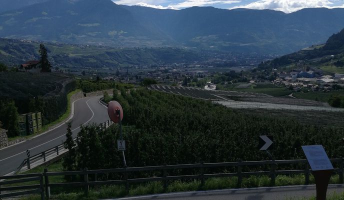 Foto 1 der Bikemap-Route "Dorf Tirol , Algund Aussicht"