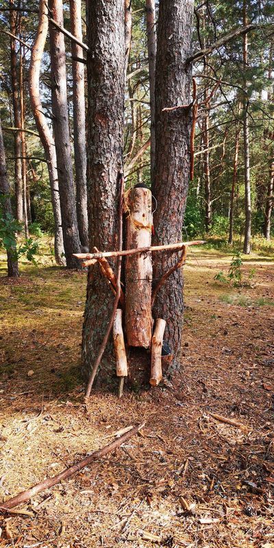 2020 08 22 тэст налібокі-100