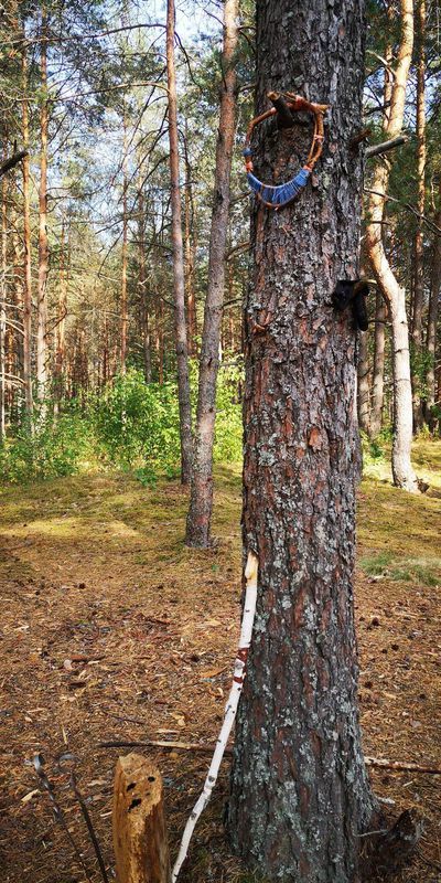 2020 08 22 тэст налібокі-100