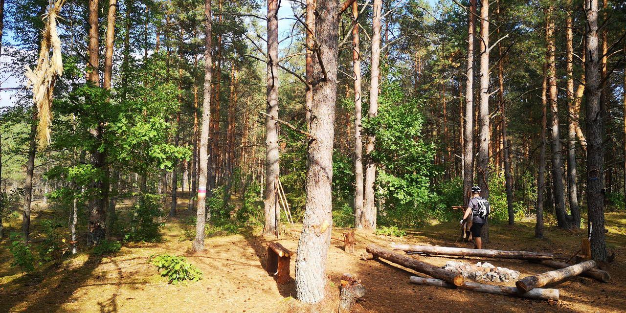 2020 08 22 тэст налібокі-100