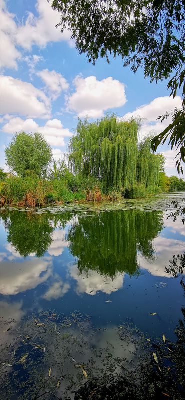 От вул. Миколи Бурки 8, Васильків до вул. Миколи Бурки 8, Васильків