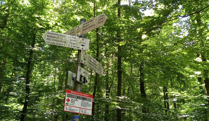 Foto 1 der Bikemap-Route "Schöllbronn Malsch Muggensturm Ettlingen"
