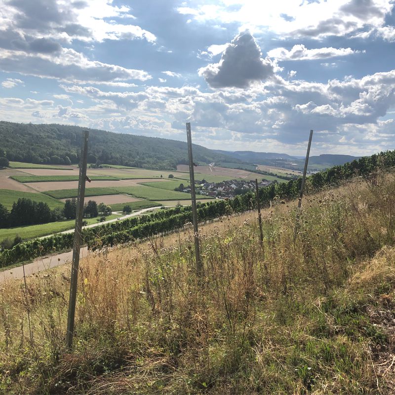 vom Schwabbach nach Hölzern