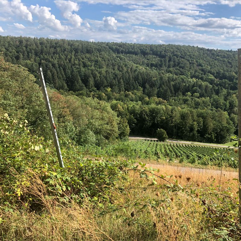 vom Schwabbach nach Hölzern