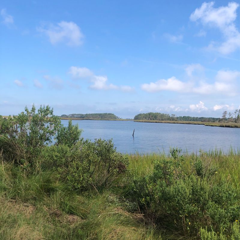 Onancock to Annis Cove and back
