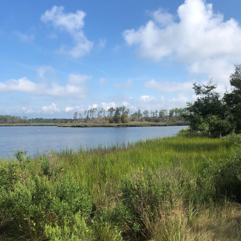 Onancock to Annis Cove and back