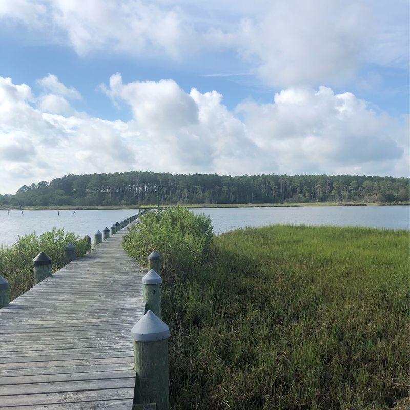 Onancock to Annis Cove and back