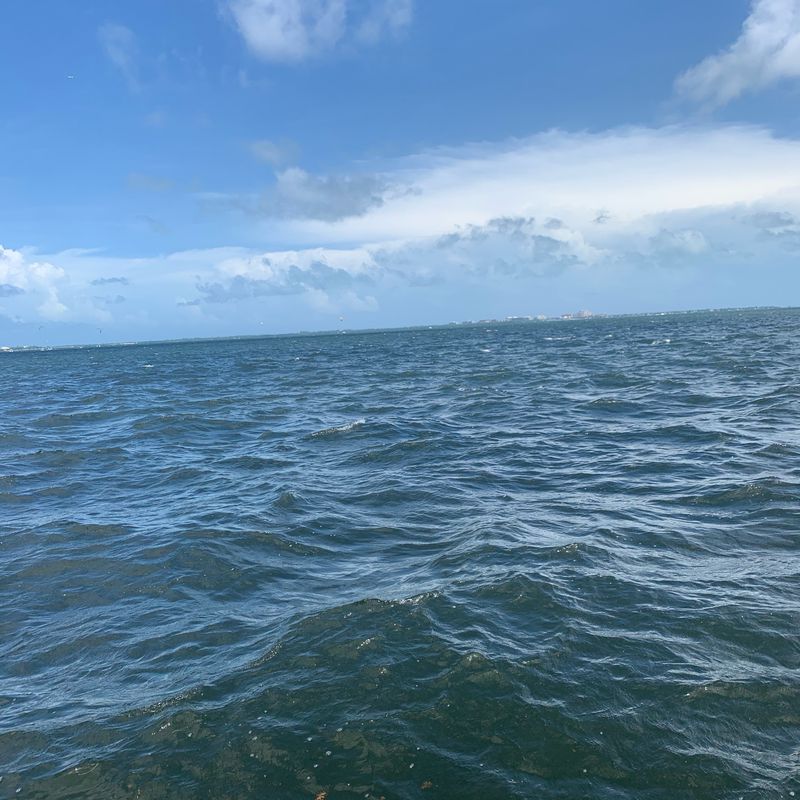 2501–2599 SW 69th Ave, Miami to 3609 S Miami Ave, Miami