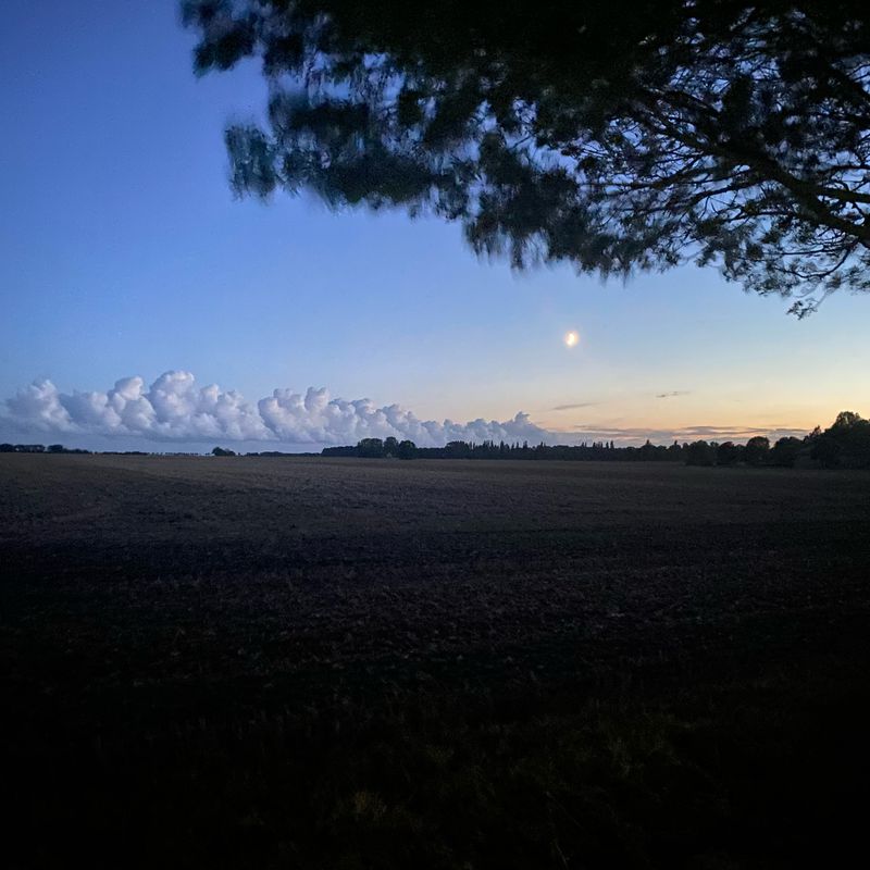 Werner-Seelenbinder-Straße 9, Altenkirchen nach Werner-Seelenbinder-Straße 9, Altenkirchen