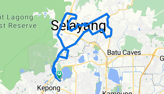 SELAYANG