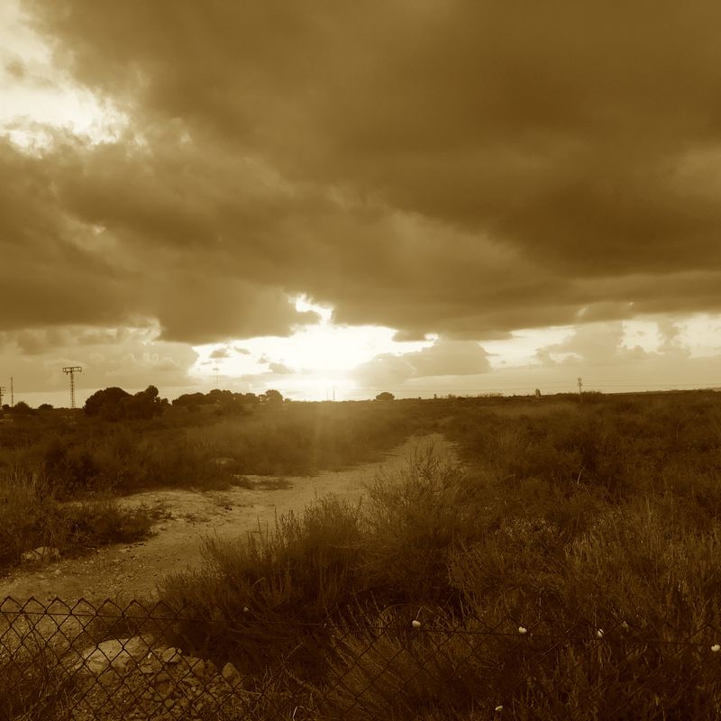 Heredades to Lo Crispin, Los Montesinos, Guardamar and Rio Segura via Rojales and home.