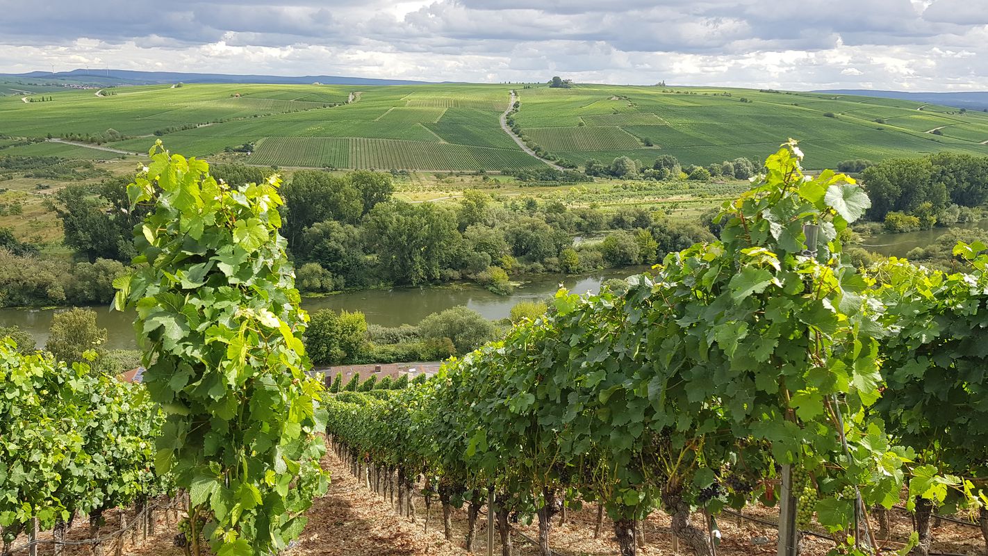 Mainauen