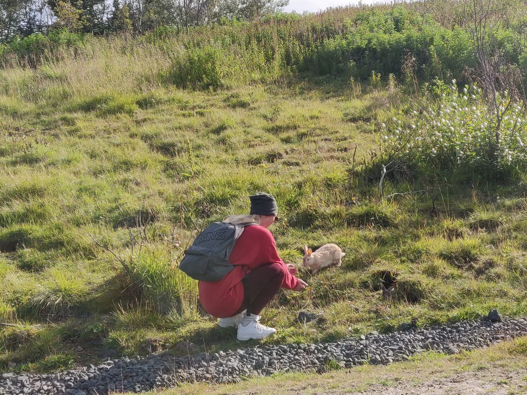 Trasa z Reykjavík