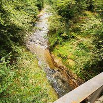 Hauptwilerstrasse 4, Waldkirch nach Alpsteinstrasse 6, Flawil