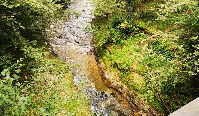 Foto 1 der Bikemap-Route "Hauptwilerstrasse 4, Waldkirch nach Alpsteinstrasse 6, Flawil"