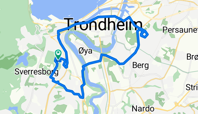 Trondheim Cycling